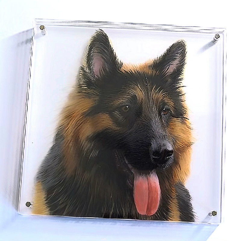 Customize Three-Dimensional Pet Portraits