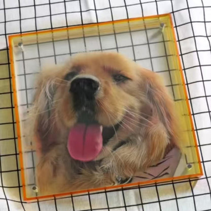 Customize Three-Dimensional Pet Portraits